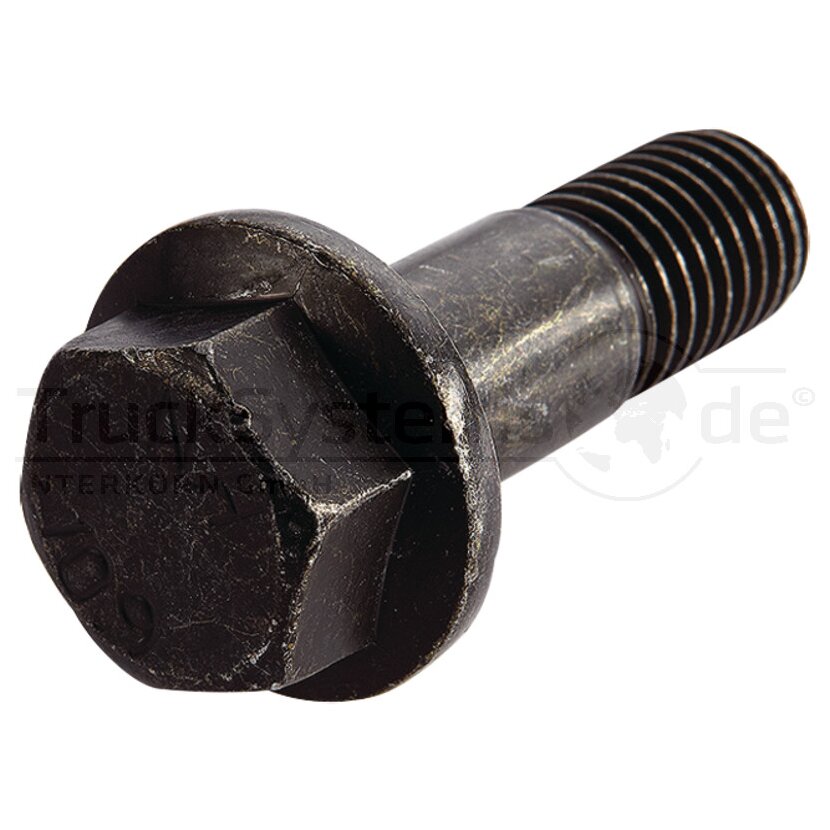 Schraube M 18 x 55/25  - 106.150-00A - 4044407198423 - 10615000A
