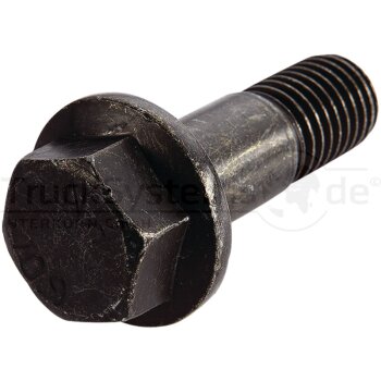 Schraube M 18 x 55/25  - 106.150-00A - 4044407198423 -...