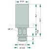 BOSCH Handförderpumpe 2 447 010 038 - 2447010038 für 1745259