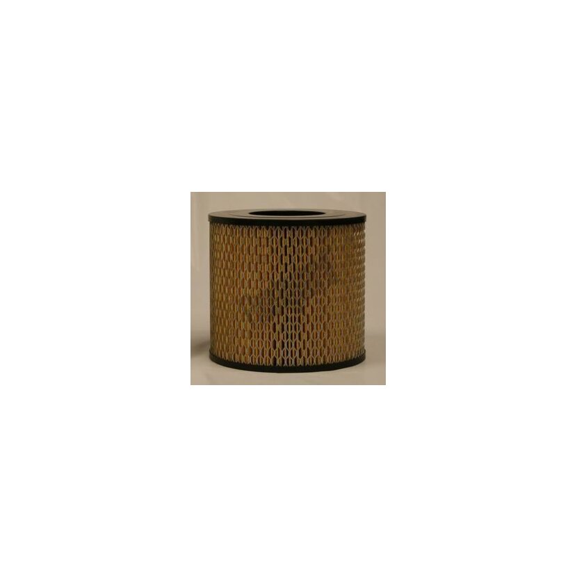 FLEETGUARD Luftfilter AF25399 für 1780135030