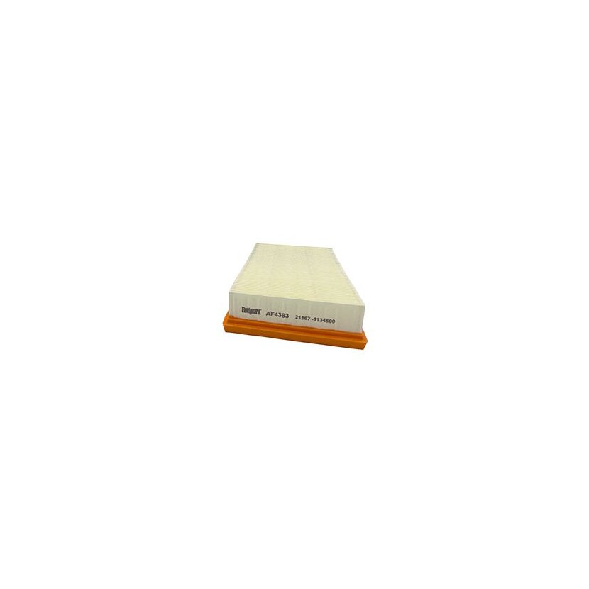 FLEETGUARD Luftfilter AF4383 für 1058022
