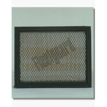 FLEETGUARD Luftfilter AF25227 für F3TZ9601A