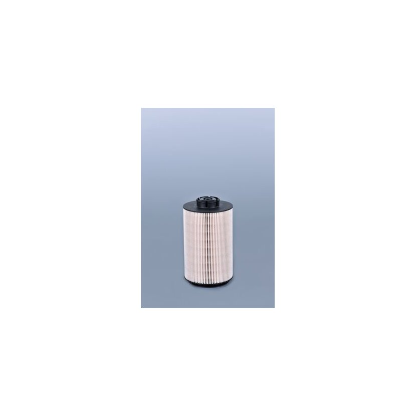 FLEETGUARD Kraftstofffilter FF5769 für 20796775