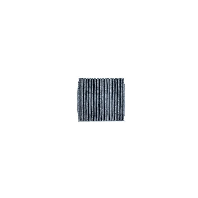 FLEETGUARD Filter, Innenraumluft AF56074 für 1748479