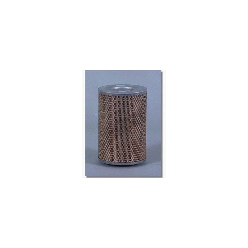 FLEETGUARD Luftfilter AF4917 für 30943904