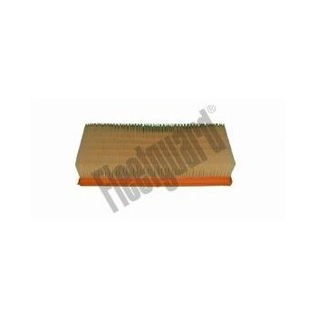 FLEETGUARD Luftfilter AF25709 für 6610580