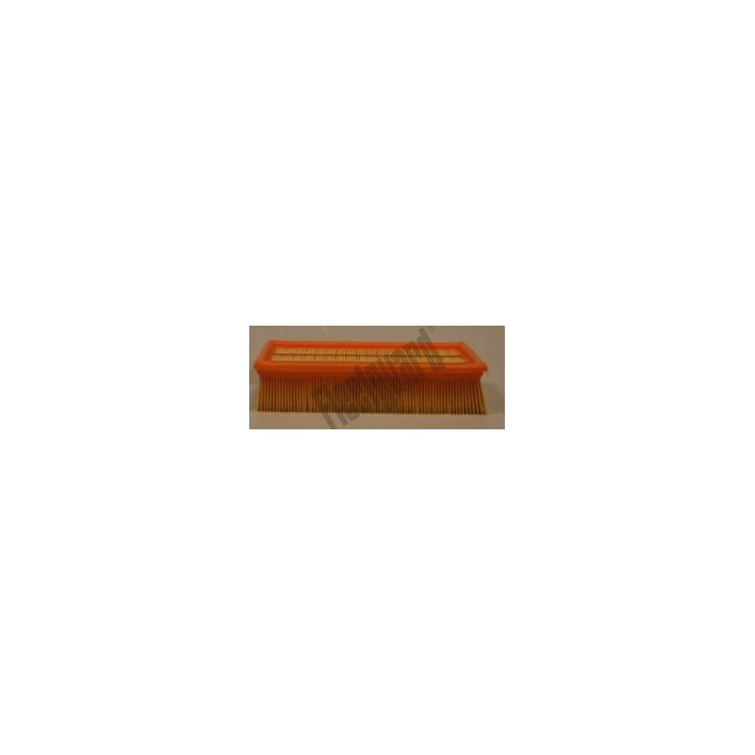 FLEETGUARD Luftfilter AF25599 für ESR1445