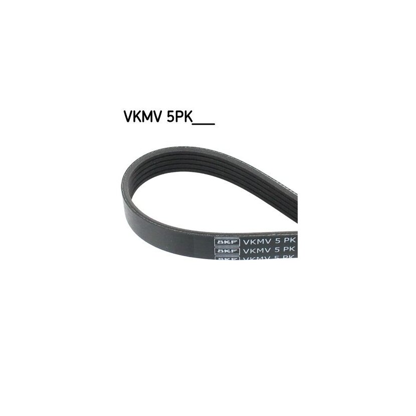 SKF Keilrippenriemen VKMV 5PK1130 - VKMV5PK1130 für 4451A104