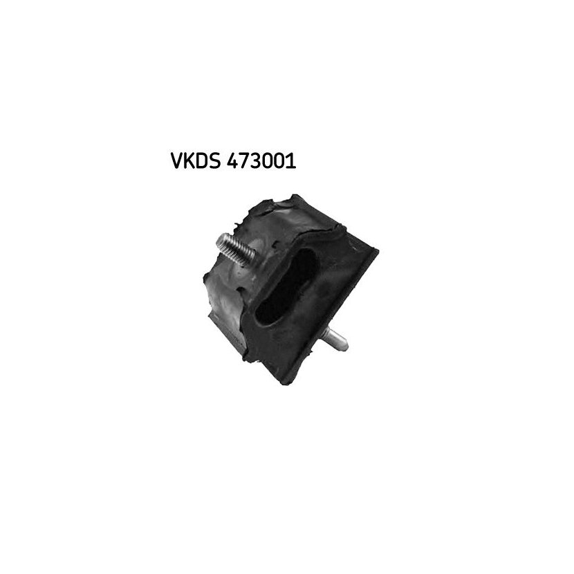 SKF Achskörper VKDS 473001 - VKDS473001 für 5131.71