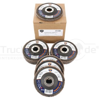Fächerschleifscheibe Durchmesser115mm K40 VPE 10 -...