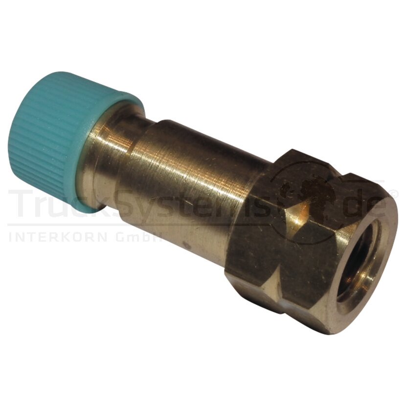 CGS Niederdruck Fitting Ventilkern  - RF12345