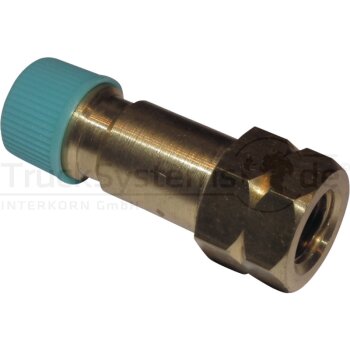 CGS Niederdruck Fitting Ventilkern  - RF12345