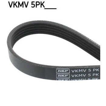 SKF Keilrippenriemen VKMV 5PK1592 - VKMV5PK1592 für...