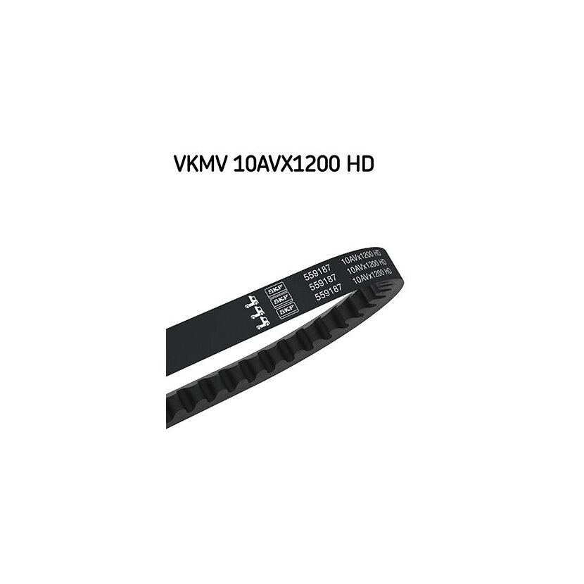 SKF Keilriemen VKMV 10AVX1200 HD - VKMV10AVX1200HD für 23223080